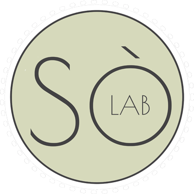 logo solab
